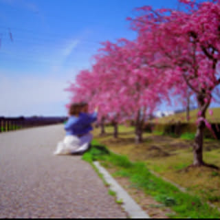 AyaMama