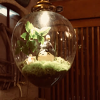 yuki
