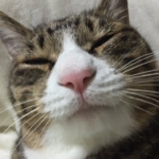 naru