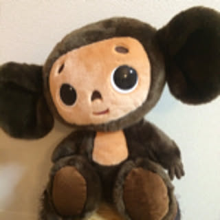 kinomi