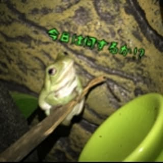 mamimamamame716