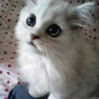 hiro