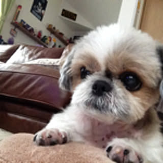 diego
