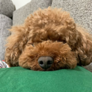 akkie