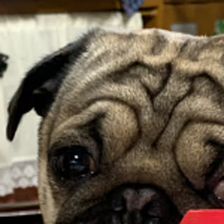masu