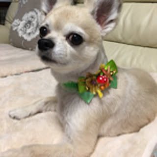 hiroko