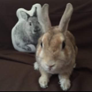 tom