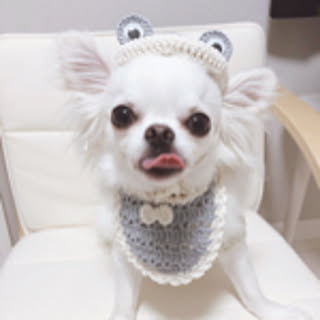 omochi290409