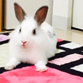 mii-cha
