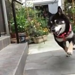Mix