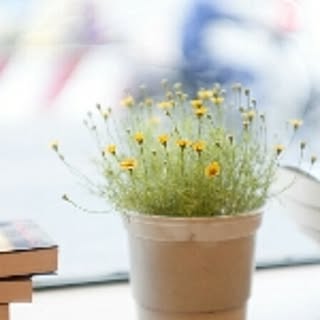 flowerlove