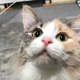 yuka