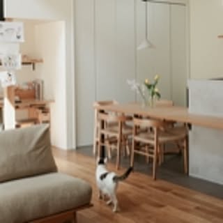 ui____home