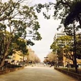 seigo