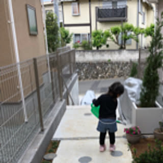 satomi