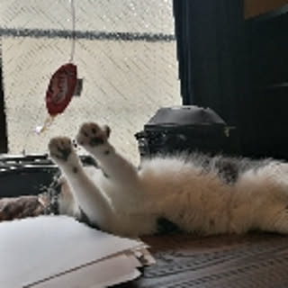 05mei