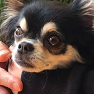 Rie