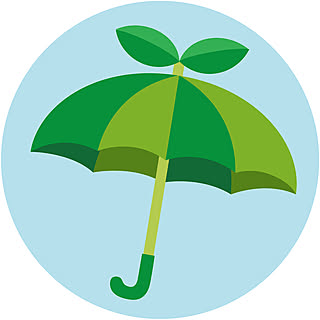 Forest_Umbrella