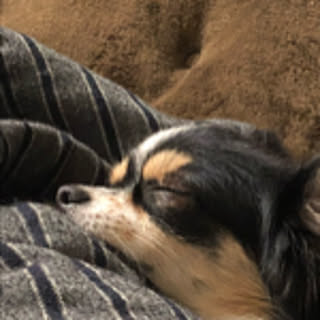 mmm