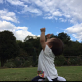 Ayu