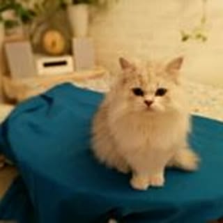Yuko