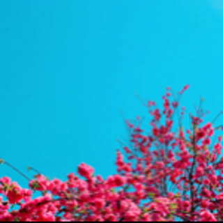 kkkm.s