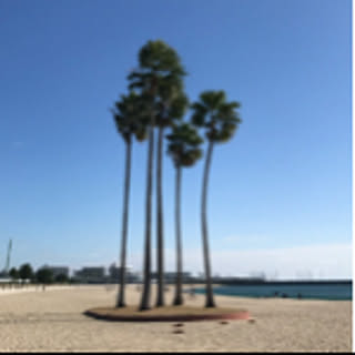 sugiyamk