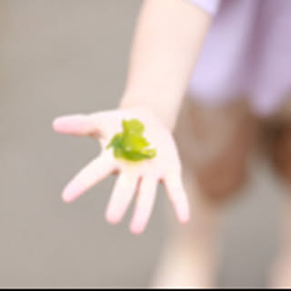 monika3103