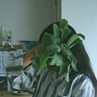 muei