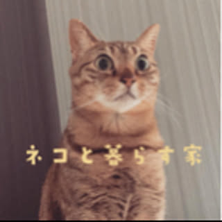 imuuuu315