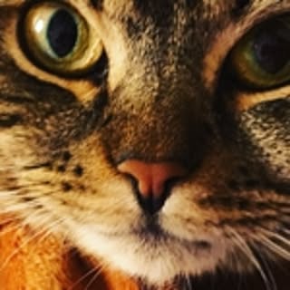 Aiko