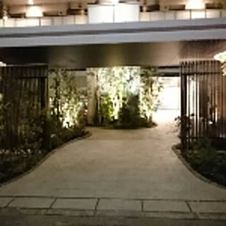 yjs_mh385