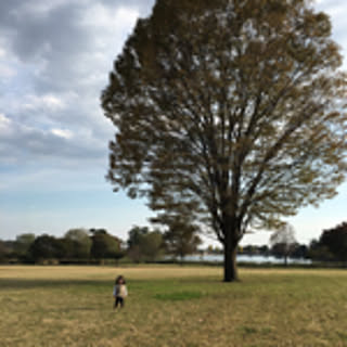 yu-ka