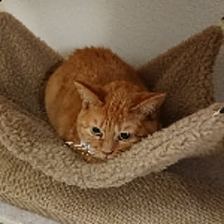 taka-ki