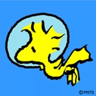 _8nico8_