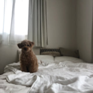 mme