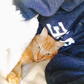 Tommy