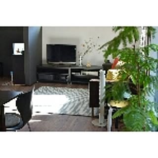 miho.home