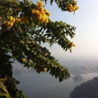 shophimalayan