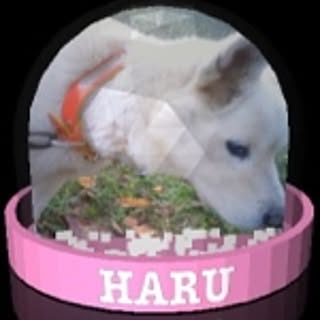 haru0_44