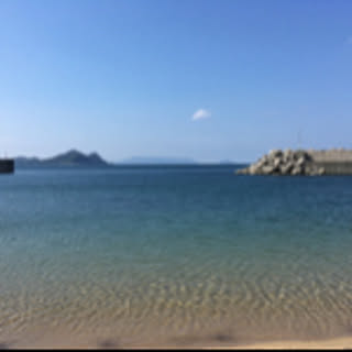 Nattu