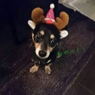 Ryuichi