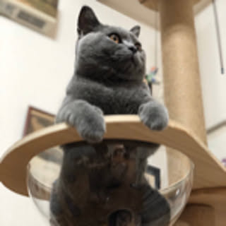 mel
