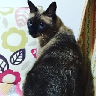 _naokinao_