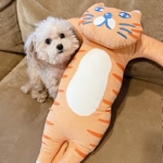 emyu