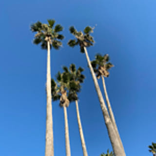Kaaa