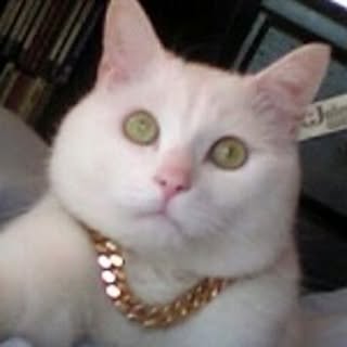 mamoru