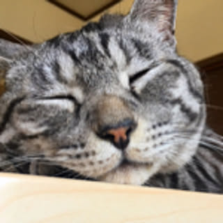 toru