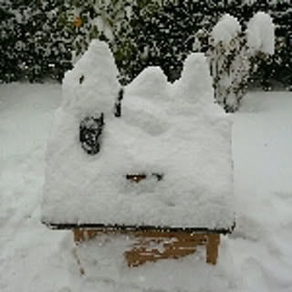 at-chan