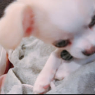 Jun